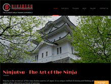 Tablet Screenshot of ninjacy.com